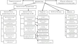 Структура управления МКОУ Сицкой СШ
